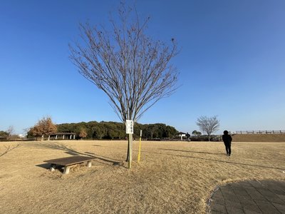 🌳 마쓰바라 전망대 광장(마쓰바라텐보오다이히로바) 이미지 2